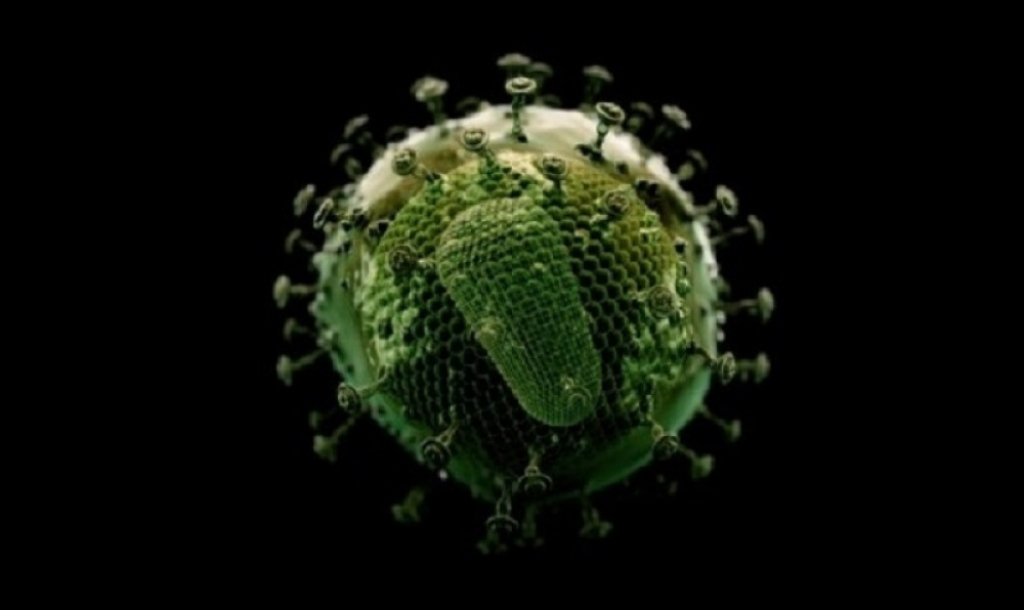 Virus HIV