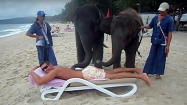 Slonovska masaža