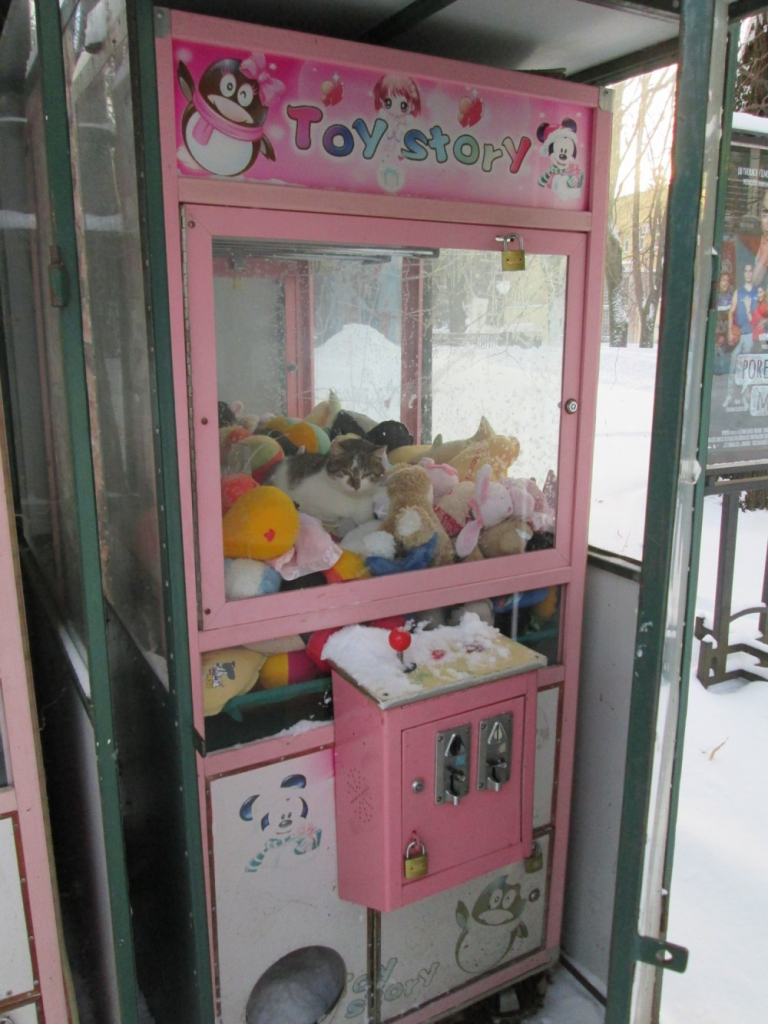 Mačka u automatu sa igračkama