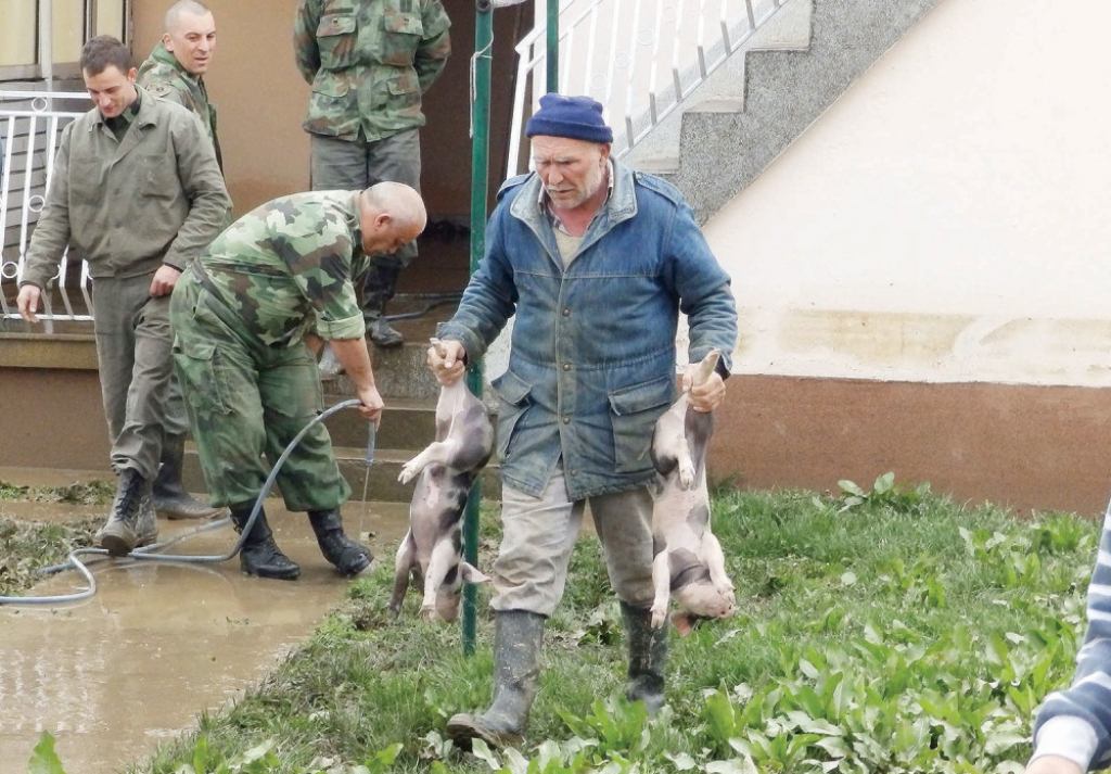 Milion dolara štete na poljoprivrednim kulturama