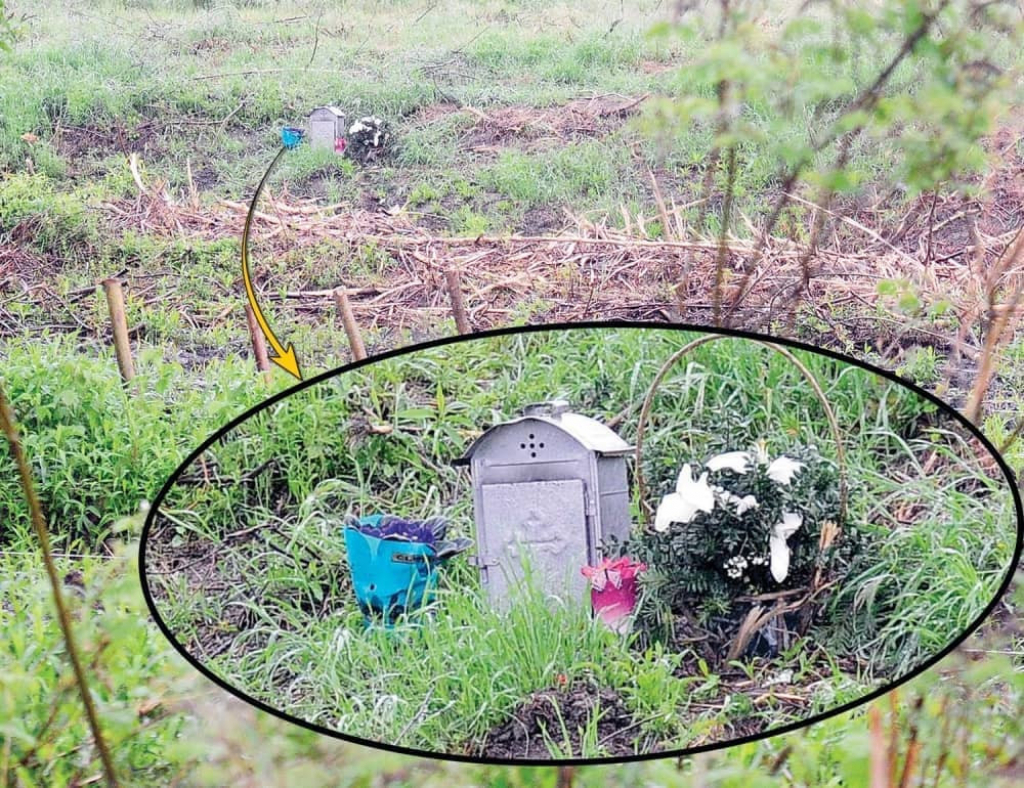 Cveće na mestu na kom je pronađena Jelena