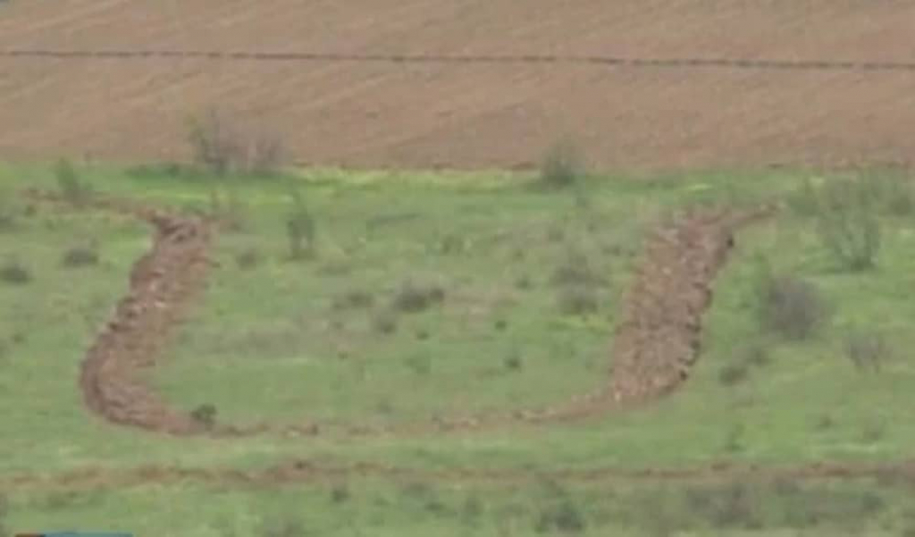 Ustaški simbol u srpskoj njivi