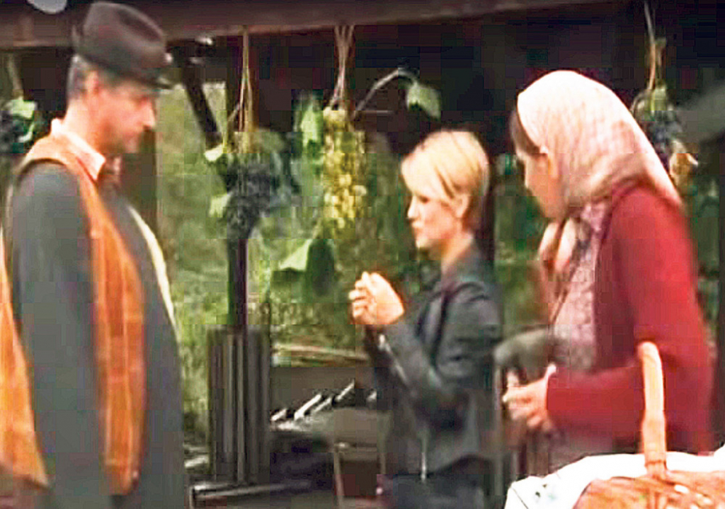 Glumili u seriji „Selo gori, a baba se češlja“