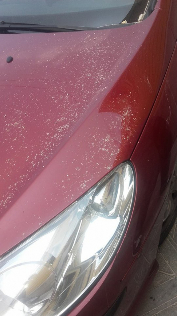 Sud u Jagodini fasada