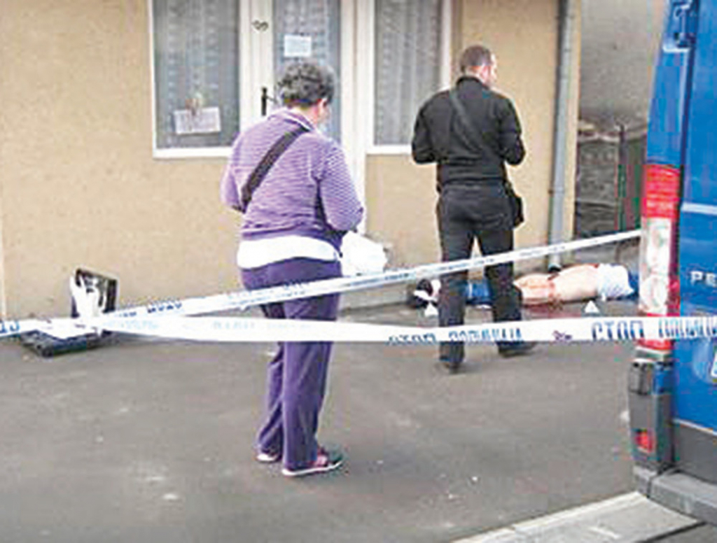 Leš Milana Ramića (76)