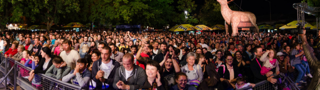 Dani piva - Zrenjanin