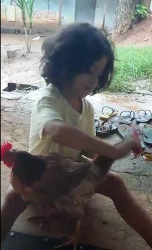 Devojčica i kokoška