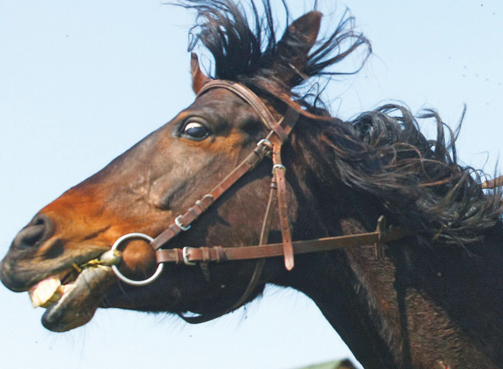 Mljac, mljac...slatka si ko šećer!