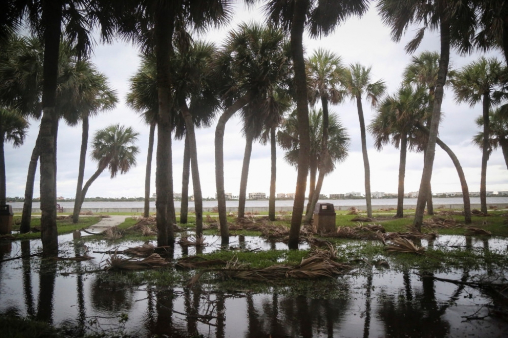 Uragan Metju florida