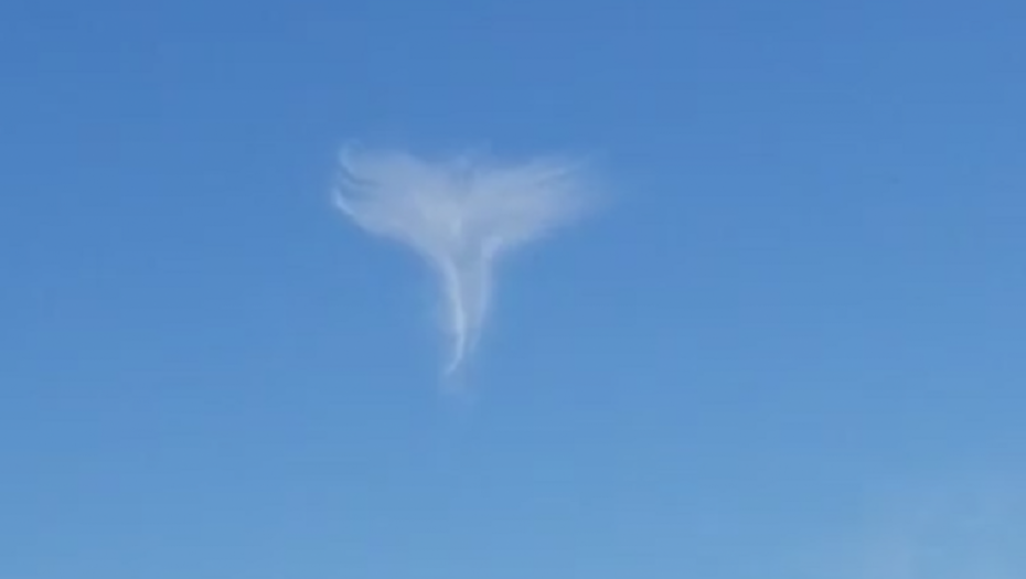 Anđeo na nebu iznad Severne Karoline