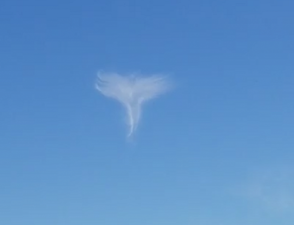 Anđeo na nebu iznad Severne Karoline