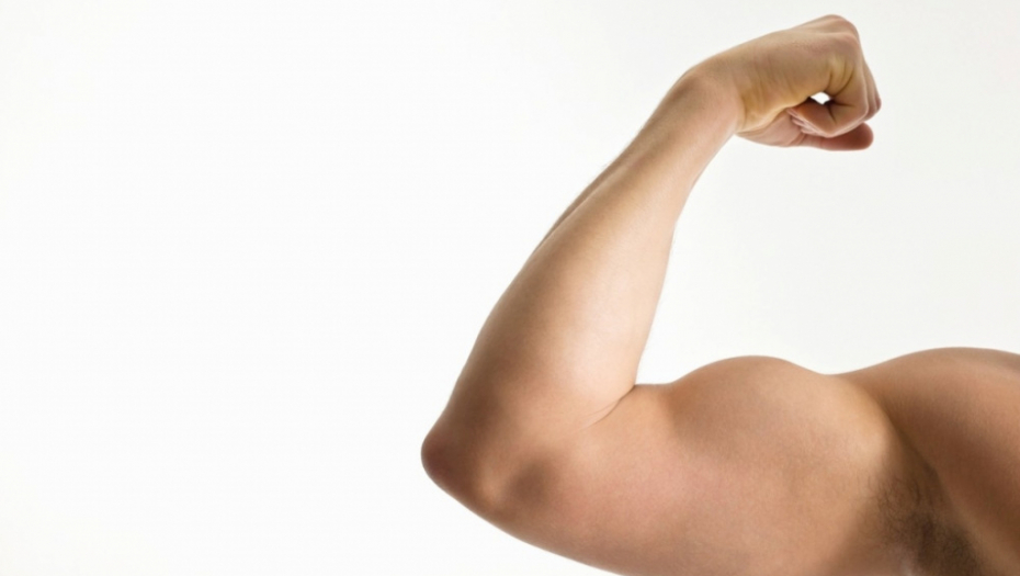 Biceps Mišići