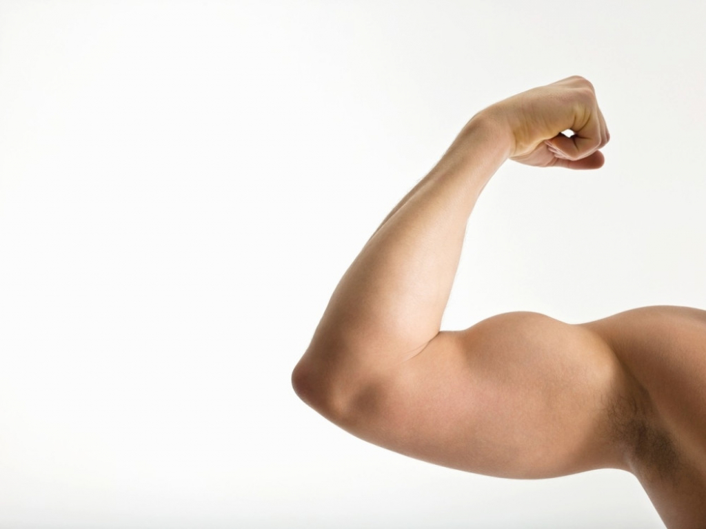 Biceps Mišići