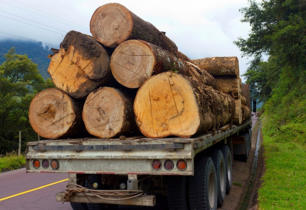 Kamina sa drvima balvanima Drva Balvani