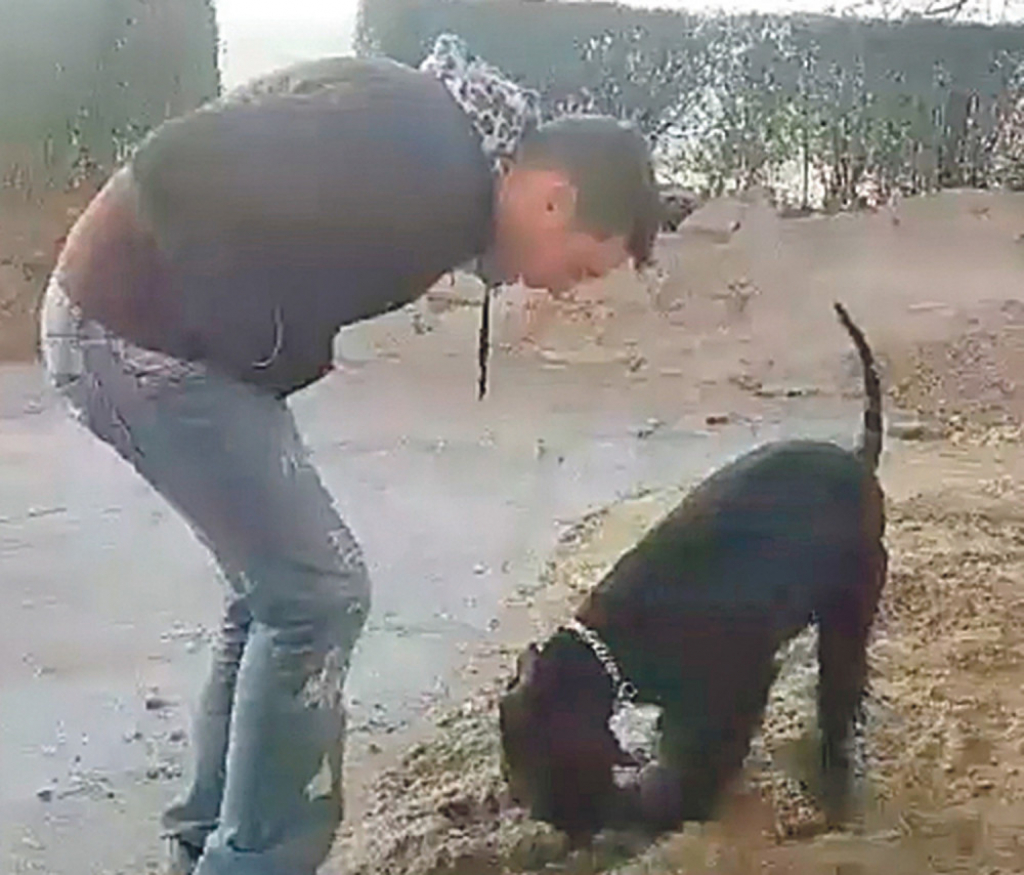 Udruženim snagama: Petar i Beta