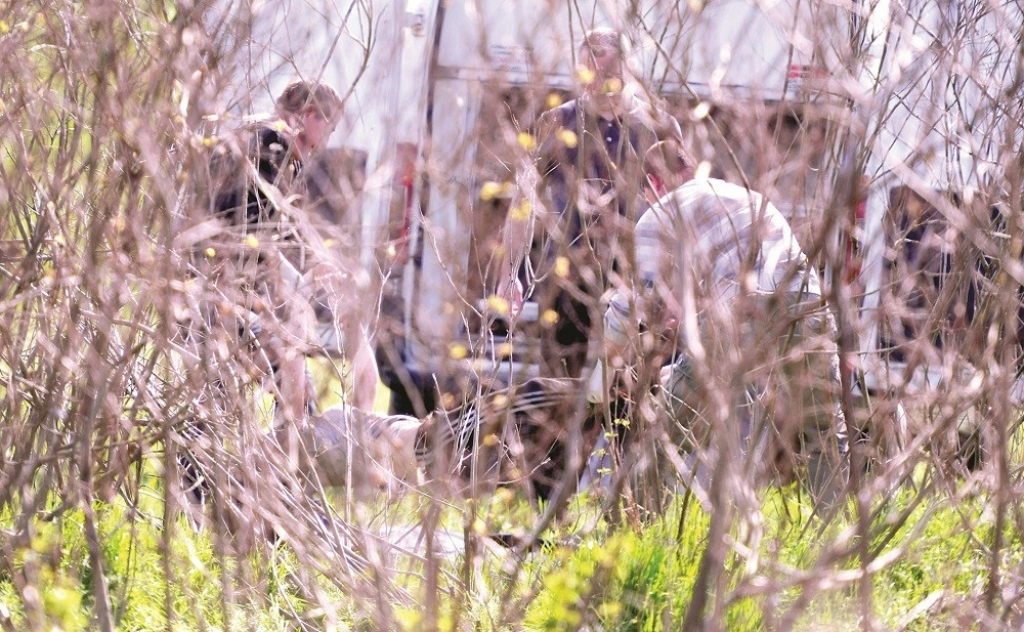 Uviđaj na mestu ubistva Jelene Marjanović