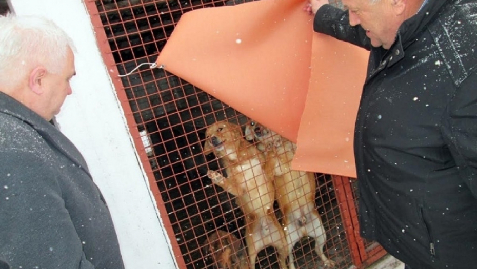 azil za pse loznica