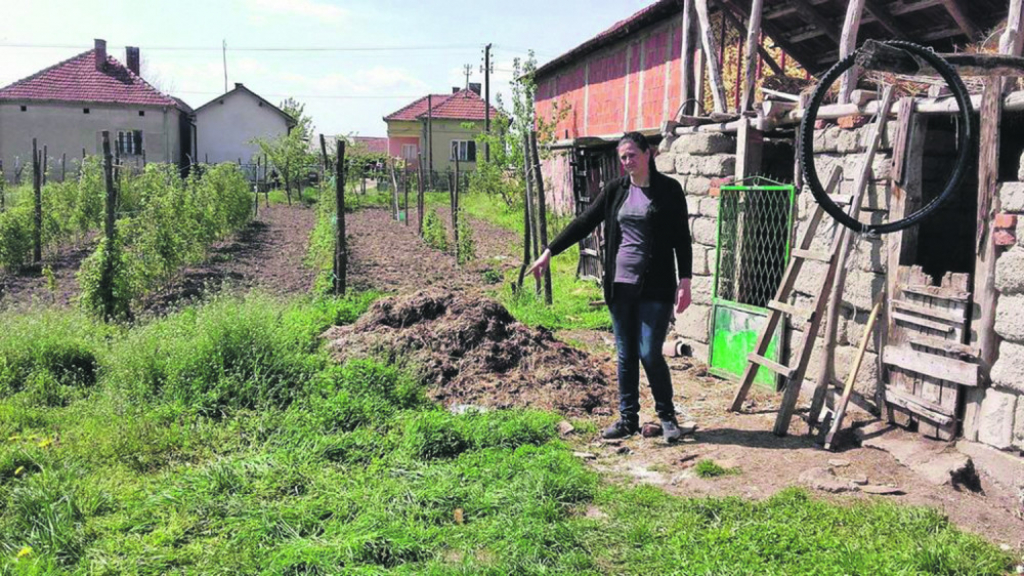 Mesto gde je pas preklao babu