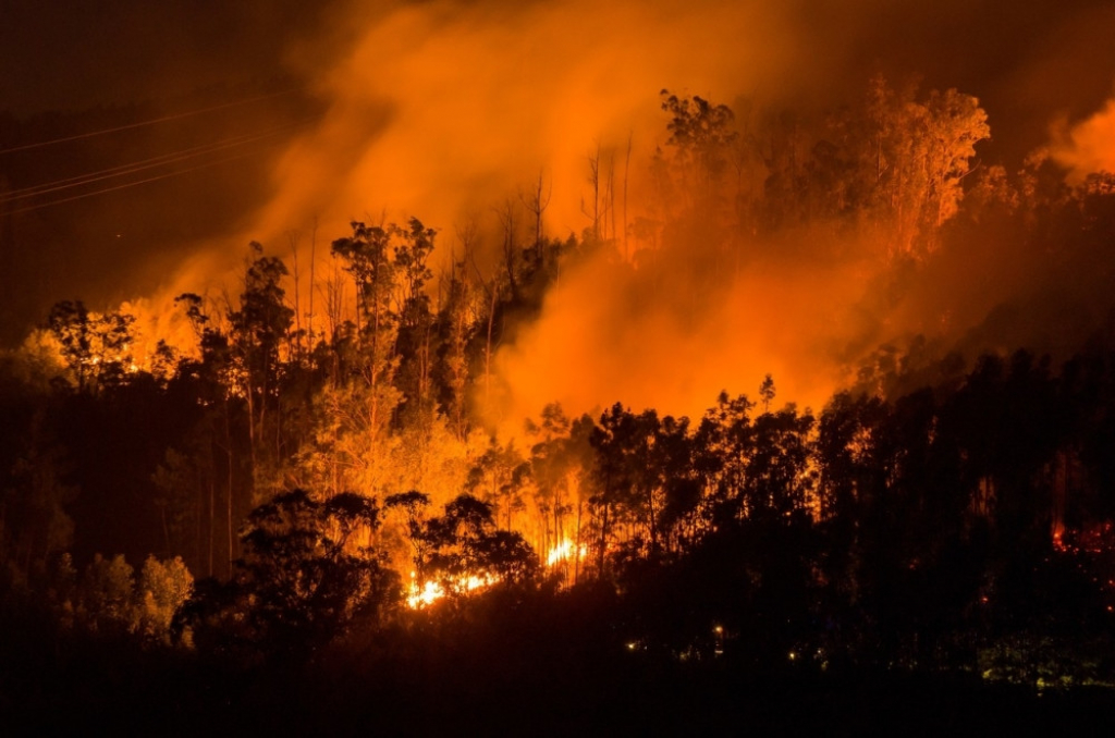 Šumski požar u Portugaliji