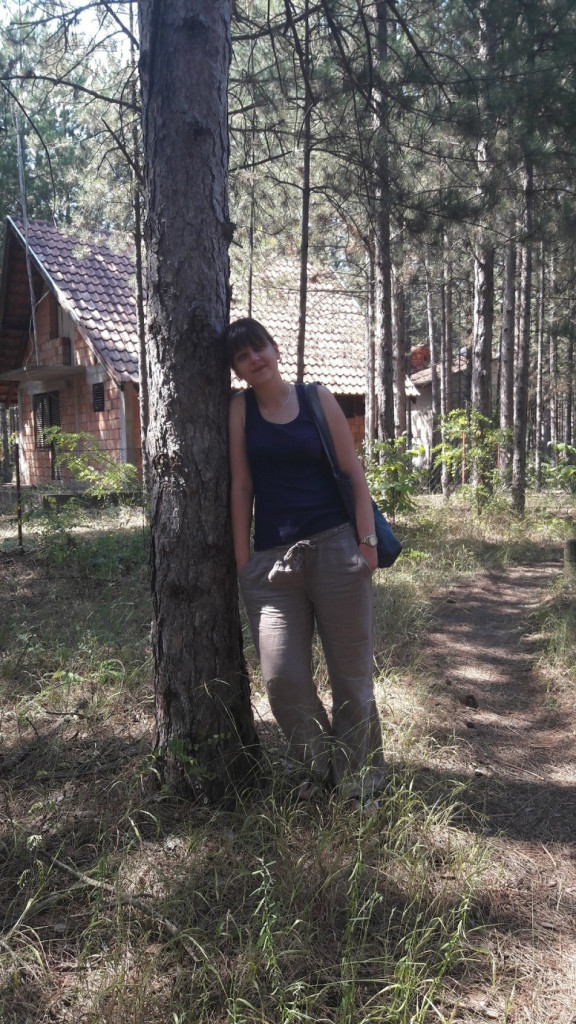 Vinci Golubac Manastir Tumane