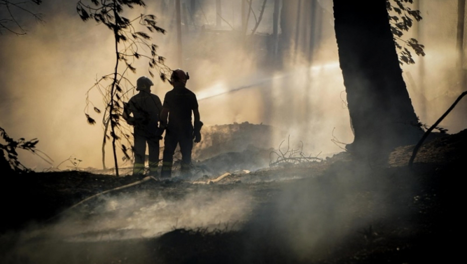 Italija šuma požar šumski požar