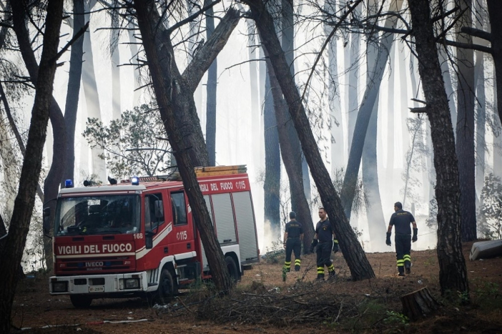 Italija šuma požar šumski požar