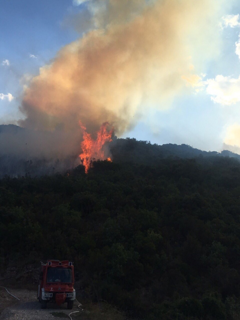 Požar Crna Gora Bigovo