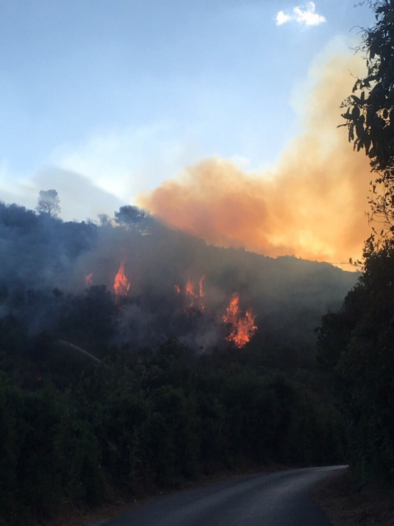 Požar Crna Gora Bigovo
