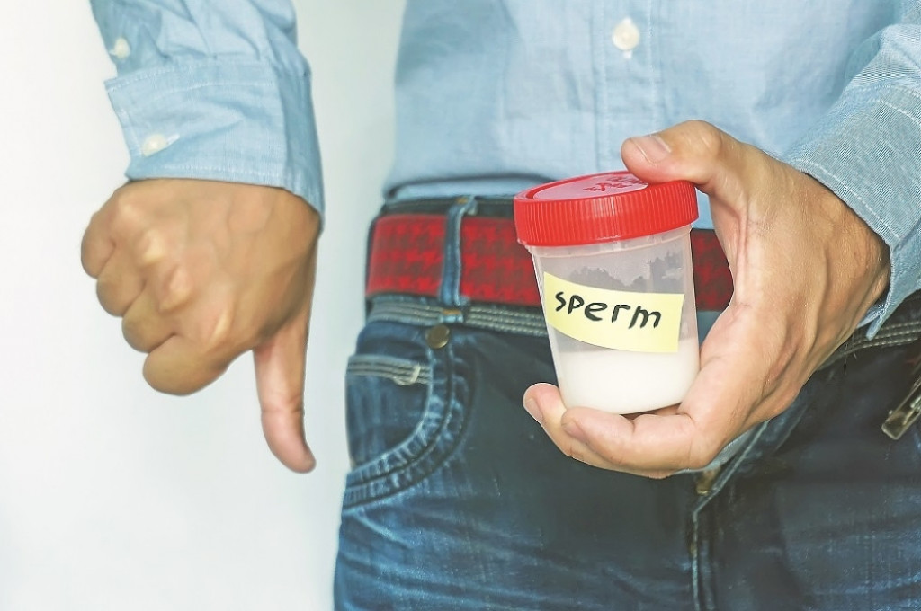 Plodnost sperma spermatozoidi planiranje porodice