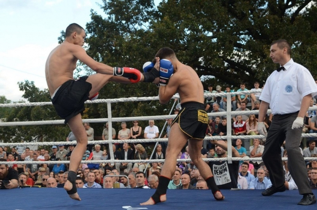 Tigrovi protiv Makedonaca