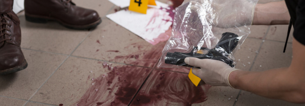 Hapšenje, ubistvo, sud