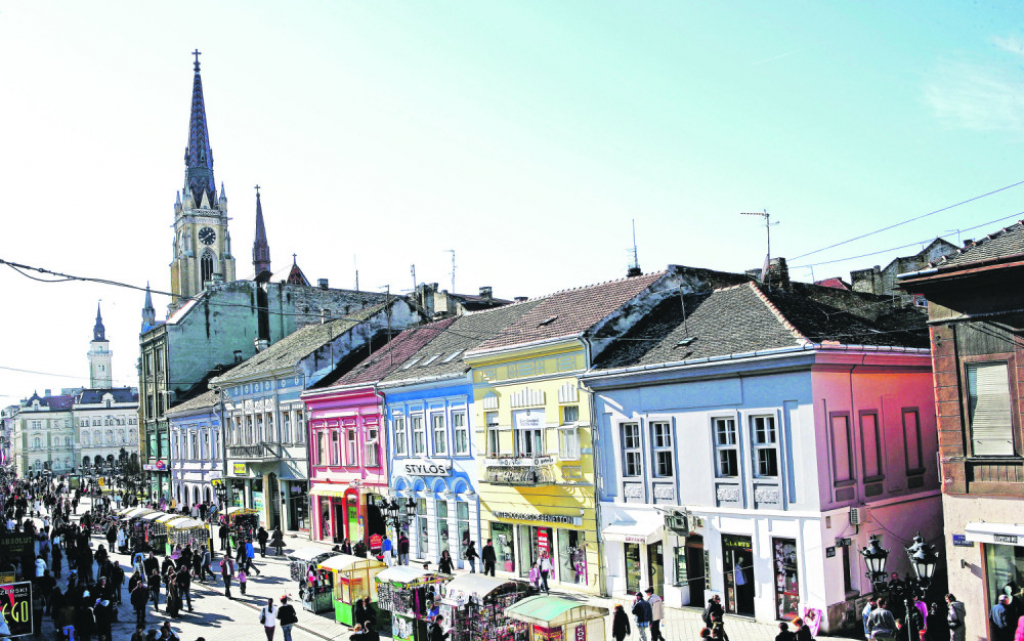 Zmaj Jovina, glavna novosadska džada