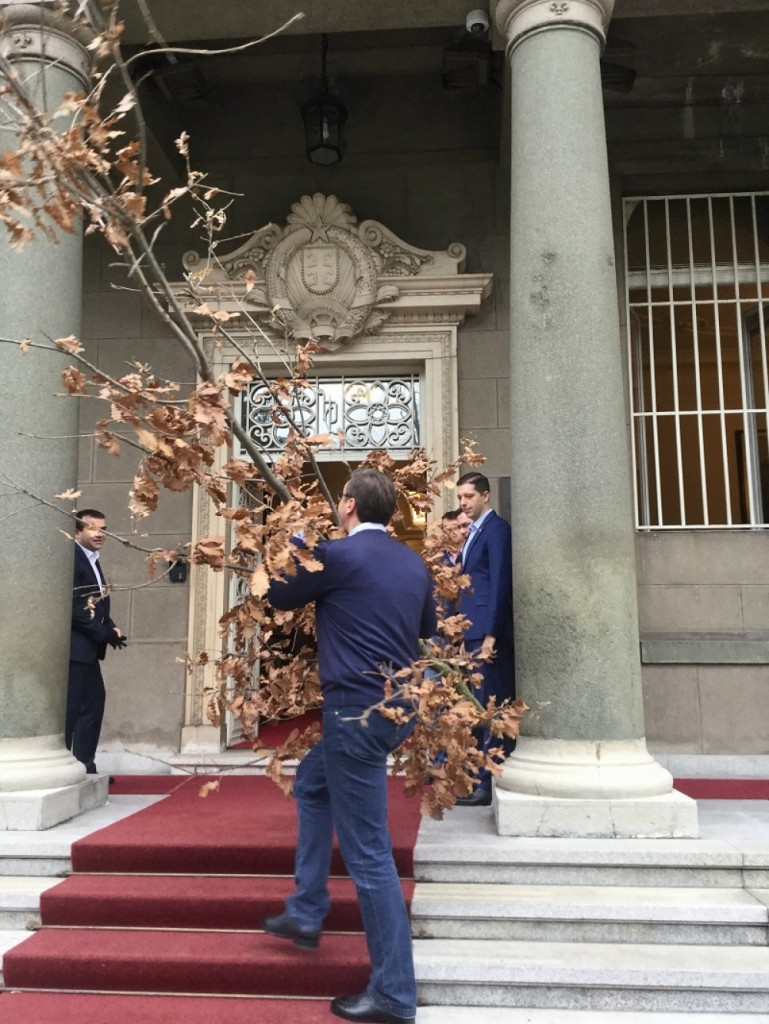 Vučić uneo badnjak u Predsedništvo