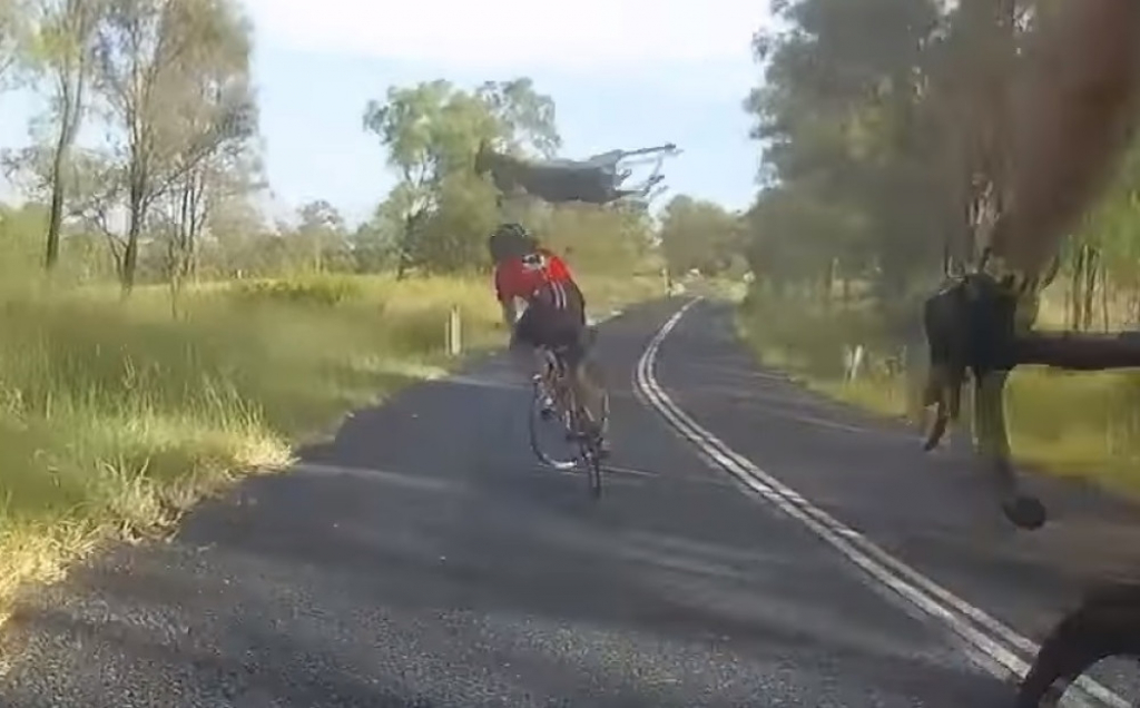 Kengur nokautirao biciklistkinju
