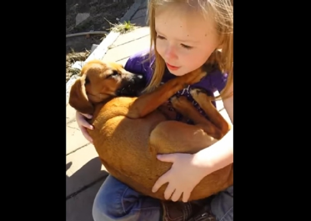 Devojčica uspavljuje psa