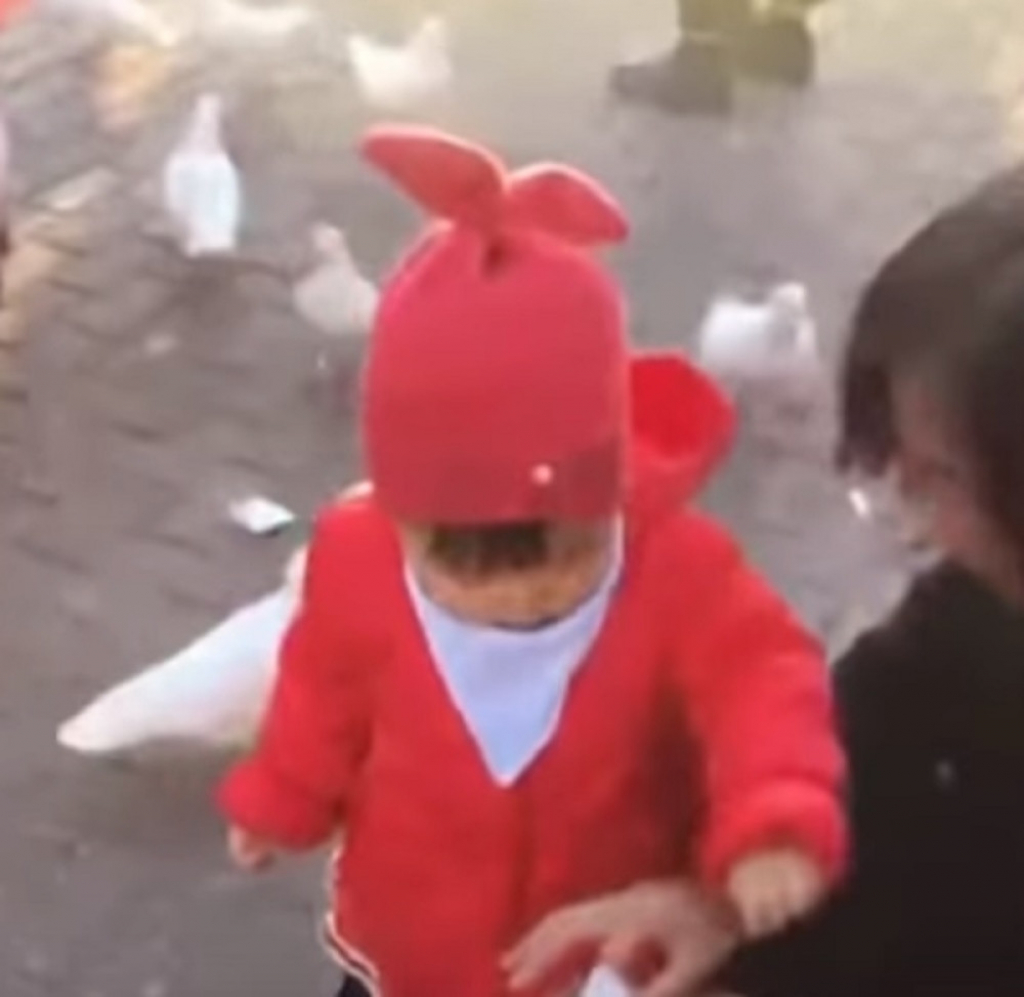 Devojčica hrani ptice