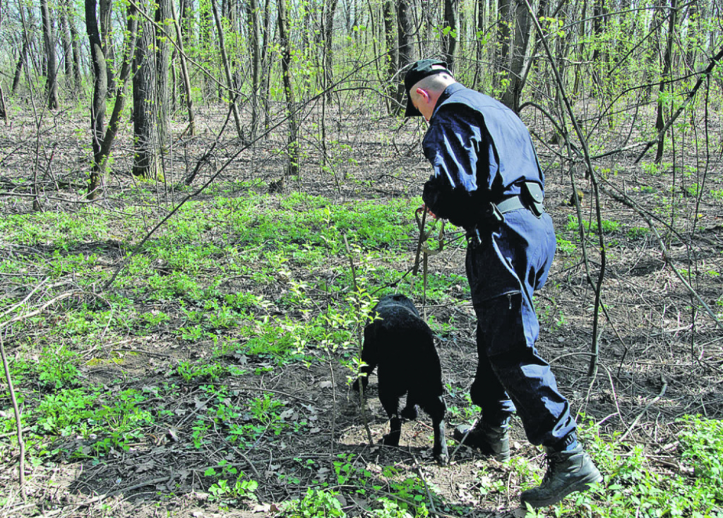 Policajci pretražuju teren