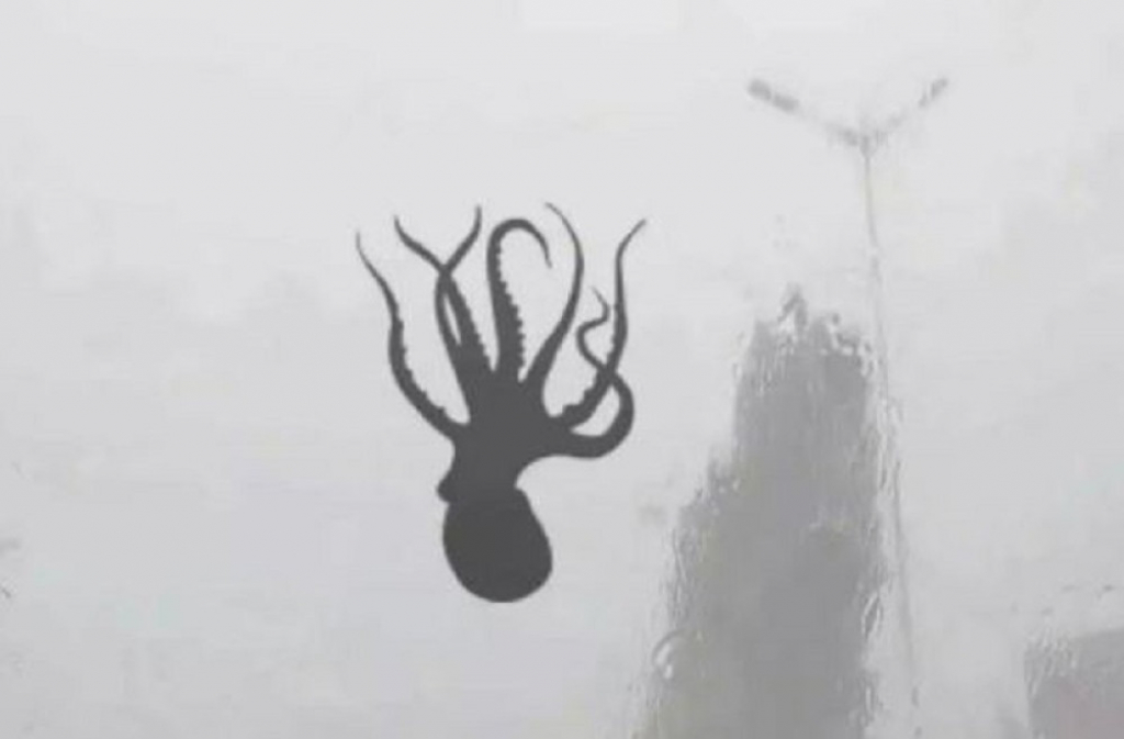 Leteća hobotnica posledica morske kiše