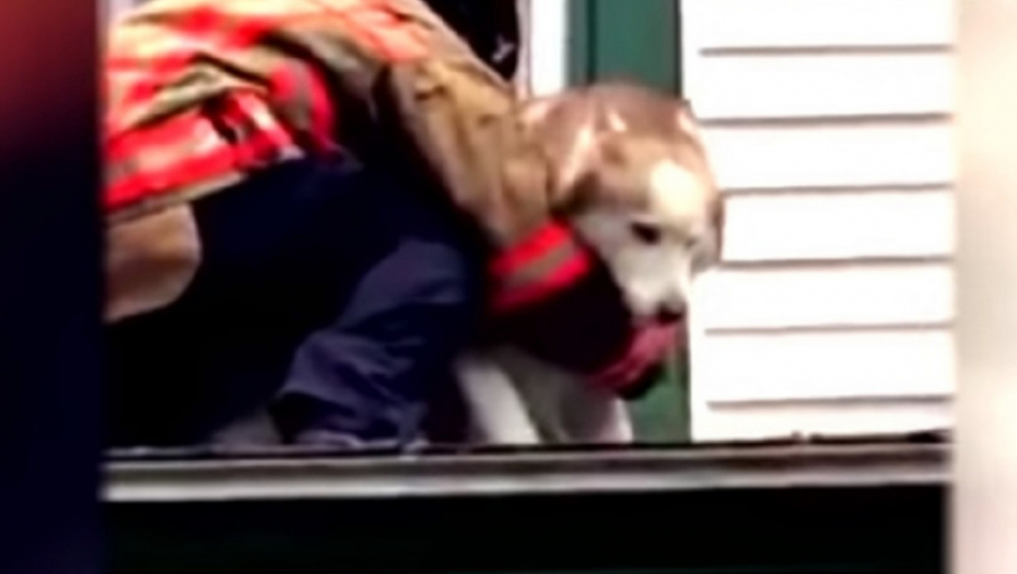 Vatrogasac spasio psa