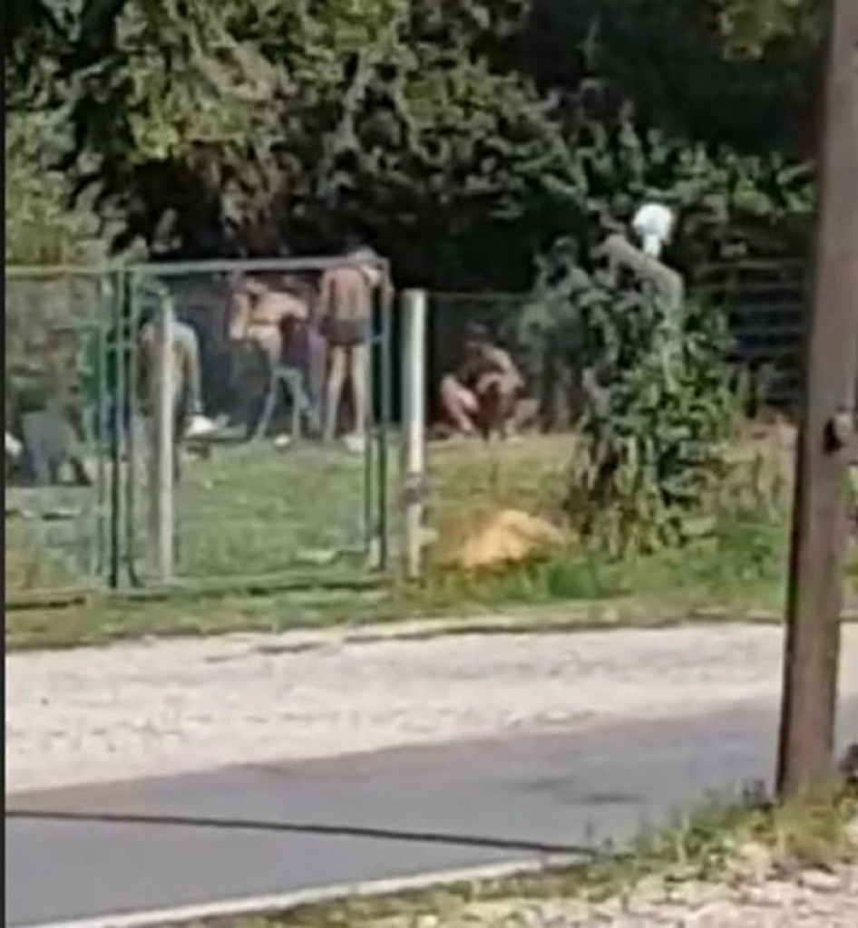 Migranti se poskidali goli na groblju u Loznici