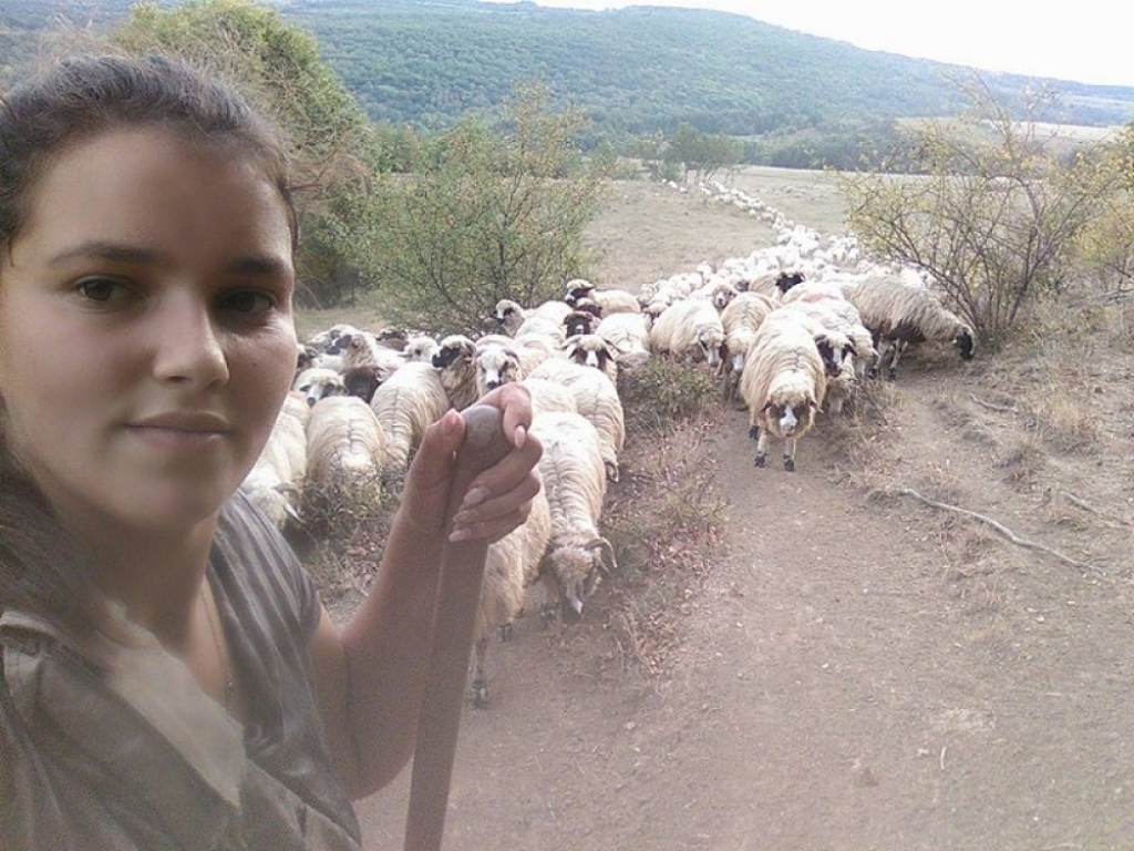 Sofija čuva ovce