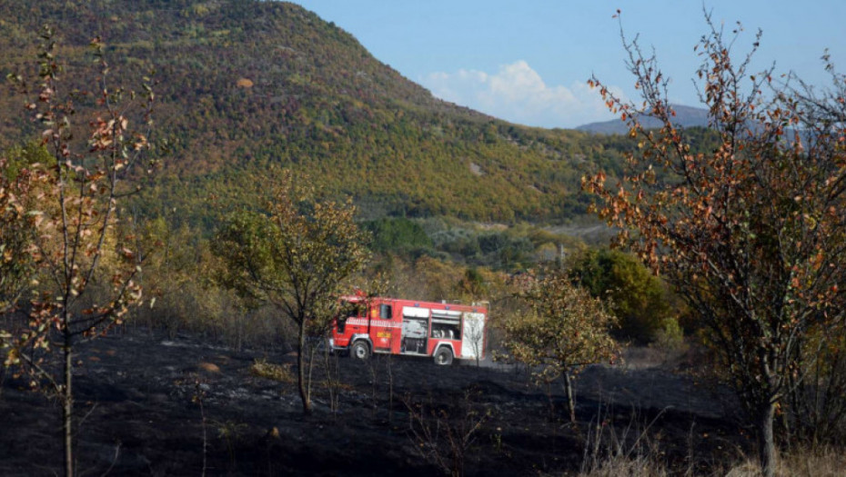 Gori šuma u Čačku, vatrogasne ekipe na terenu