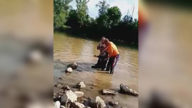Žena sa mosta skočila u Zapadnu Moravu: Radnici odmah uleteli u vodu kada su videli da nešto pluta! (VIDEO)