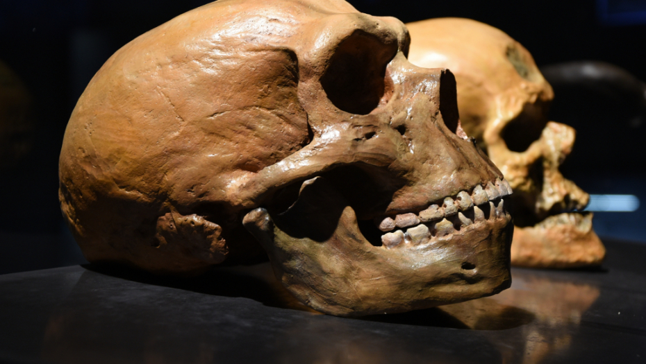 OVO MENJA ISTORIJU Zub neandertalaca pronađen u pećini kod Ništa star je preko 100 hiljada godina