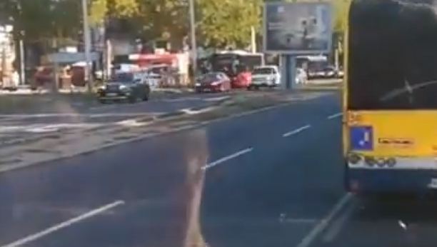 RUSVAJ U CENTRU BEOGRADA Vozač napravio duplu grešku, sve se desilo u sekundi (FOTO)