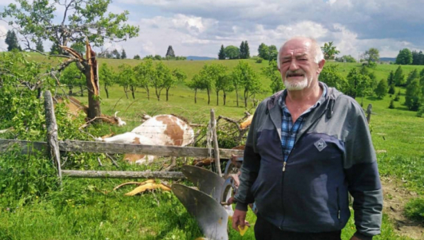 Strašan prizor dočekao domaćina iz sela Gornje Babine: Golubu grom SPRŽIO krave (FOTO)