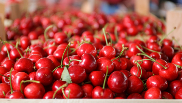 Bogato ili skupo: Evo koje su cene voća na beogradskim pijacama