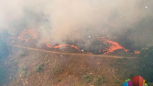 VATROGASAC ZADOBIO OPEKOTINE Požar kod Subotice uspešno lokalizovan, izgoreo veliki deo Radanovačke šume