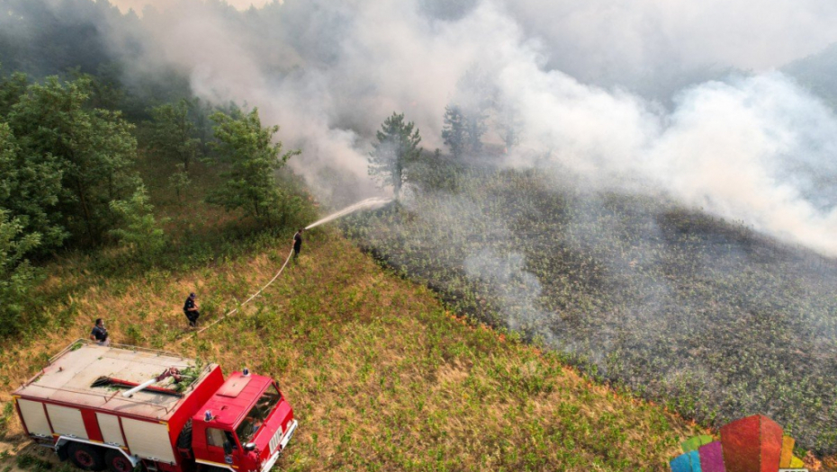 VATROGASAC ZADOBIO OPEKOTINE Požar kod Subotice uspešno lokalizovan, izgoreo veliki deo Radanovačke šume