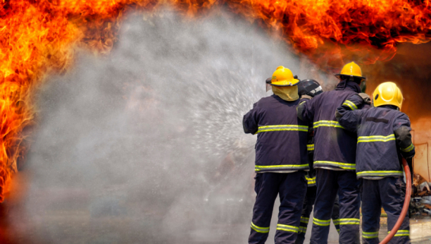 CRNI DIM KULJA NA SVE STRANE Požar na novosadskom Sajmu, vatrogasci i policija su na terenu